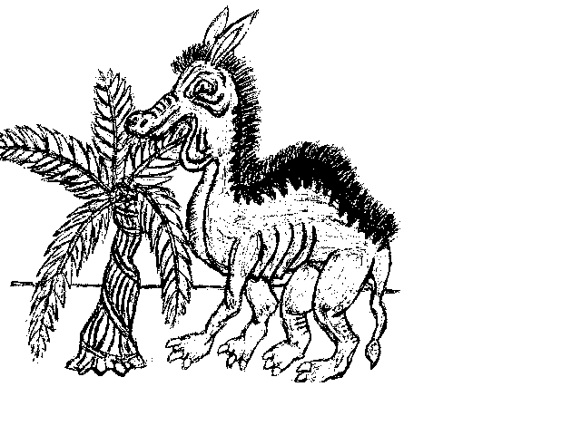 Donkey