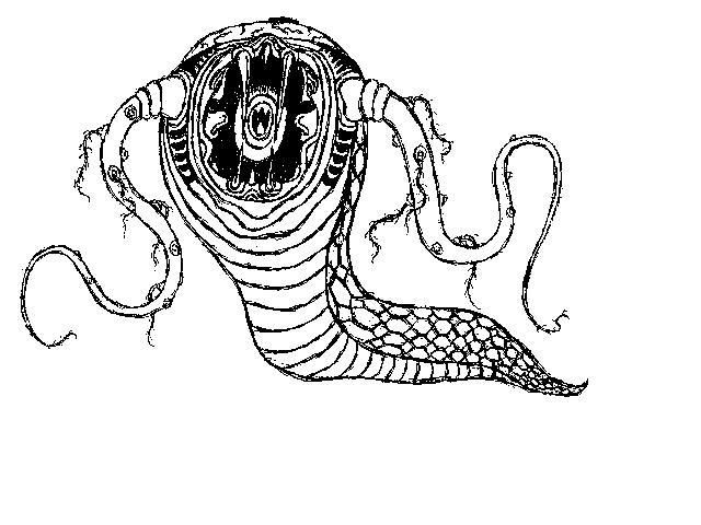 Slug